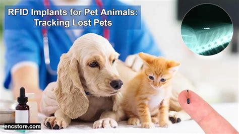 rfid implants for pets